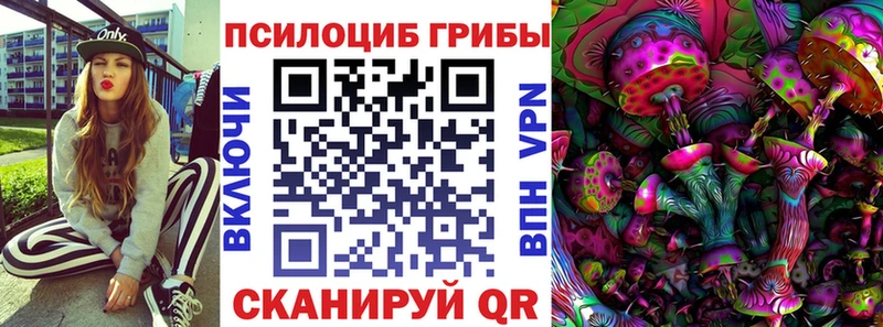 Галлюциногенные грибы Psilocybine cubensis  где найти наркотики  Белый 